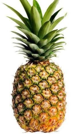 Fresh Pineapple