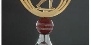 Aluminium Cricket Trophy