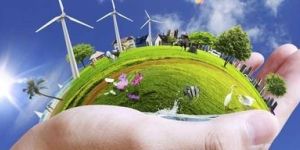 Environmental Consultancy Services