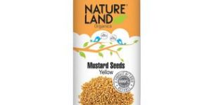 Yellow Mustard Seeds