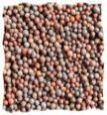 Brown Mustard Seeds