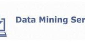 Data Mining Services