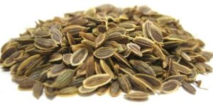 Dill Seeds