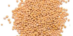 Yellow Mustard Seeds