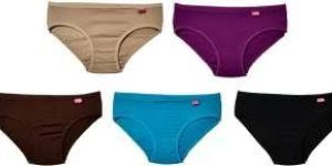 Ladies Plain Panty