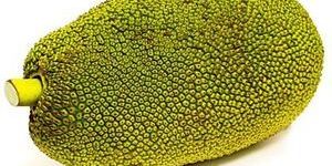 Fresh Jackfruit