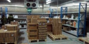 Agro Delight Frozen Sweet Corn