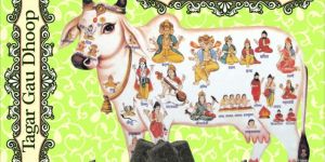 Tagar Gau Dhoop