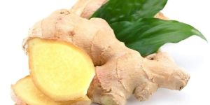 Fresh Ginger