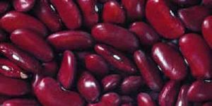 Red Kidney Beans