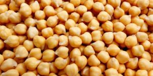 White Chickpeas