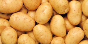 Fresh Potato