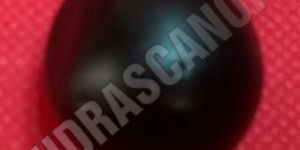 Shri Ladoo Gopal Ji Shaligram Shila