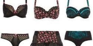 Ladies Inner Wears