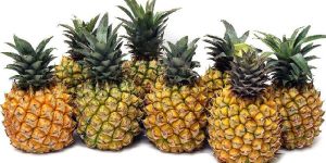 Fresh Pineapple
