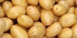 Fresh Potato