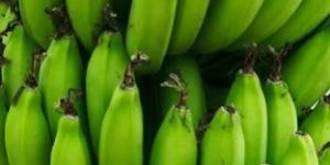 Green Banana
