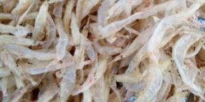 Dry Shrimps