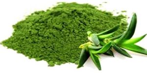 Aloe Vera Powder