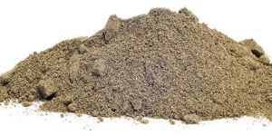 Organic Black Pepper