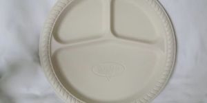 Biodegradable 10 Inch 3 CP Round Plate