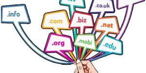Domain Name Registration