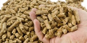 Biomass Pellets