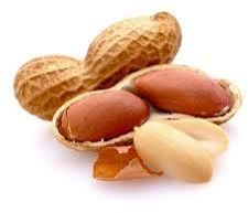 Groundnuts