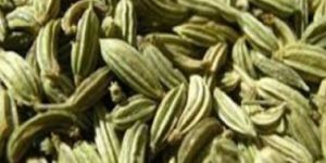 Fennel Seeds