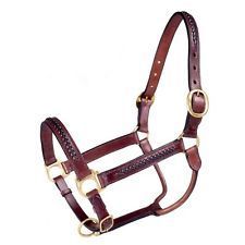 Horse Halter