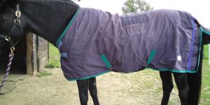 Horse Rugs