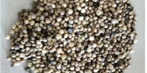 Natural Sorghum Seeds