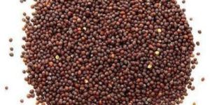Organic Mustard Seeds