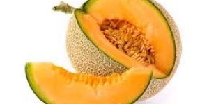 Fresh Muskmelon