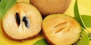 Fresh Sapota