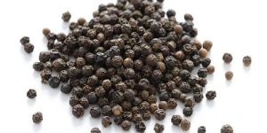 Black Pepper Seeds