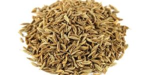 Cumin Seeds