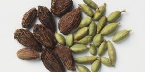 Cardamom