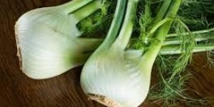 Organic Fennel Bulb