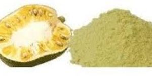 Jackfruit Powder