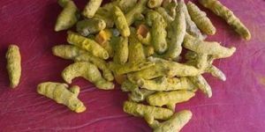 Organic Turmeric Finger