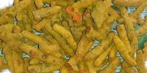 Whole Turmeric Finger
