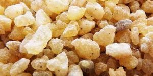 Boswellia Extract