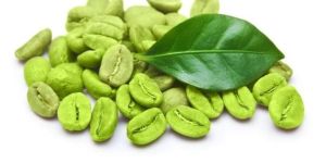 Green Coffee Bean Extract