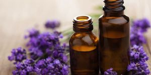 Lavender Oil