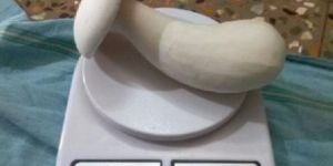 Fresh Milky Mushroom