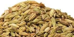 Fennel Seeds