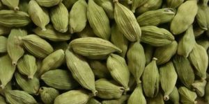 Green Cardamom