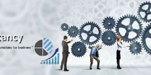 Project Set up Consultancy Services