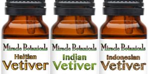 Vetiver Oil
